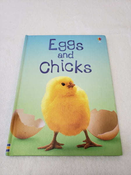 Usborne Eggs and Chicks