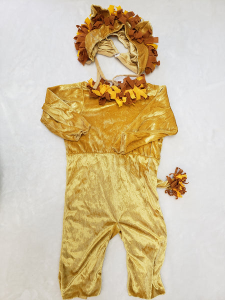 Tiny Treats Lion 2pc Costume