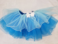 Blue Tulle Skirt