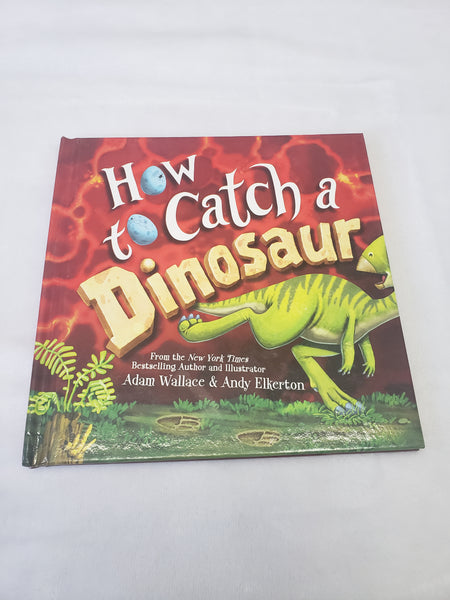 How to Catch a Dinosaur Hardcover