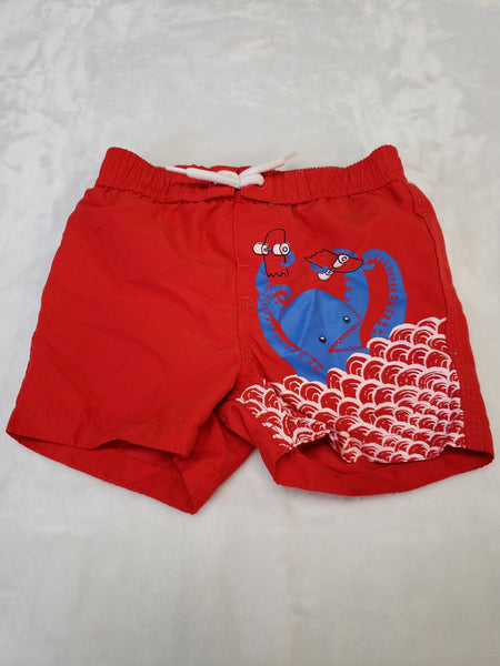 Joe Swim Trunks