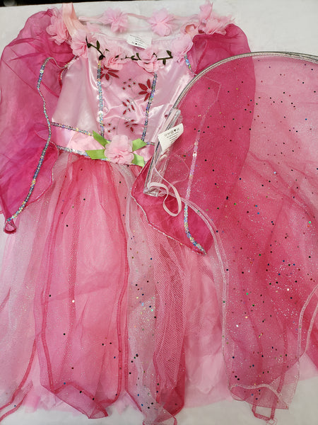 Fairy Princess Costume