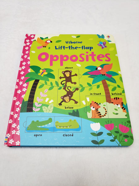 Usborne Lift the Flap Opposites