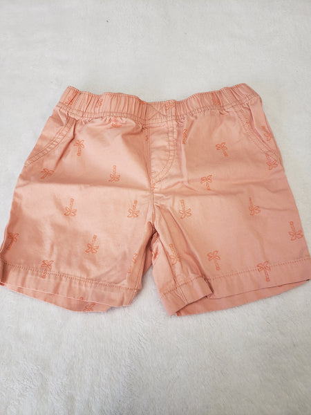 Carter's Shorts