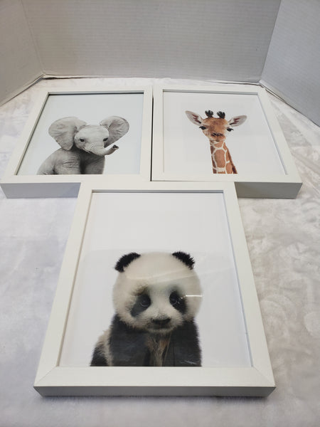 Animal Frames-3