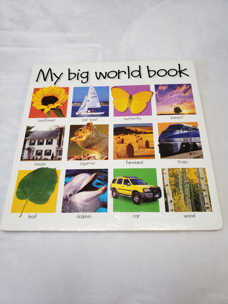 My big world book